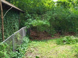 Bush Trimming by ROODY MUSCAT for Tiffani W. in Aldan, PA