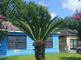 Bush Trimming by Gabriel Pearson for Jeffery H. in Houston, TX