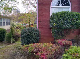 Bush Trimming by Andrew Estey for Vaughn H. in Acworth, GA