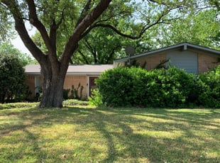 Leaf Removal by Juan Antonio Perez Vazquez for Marlene O. in Dallas, TX