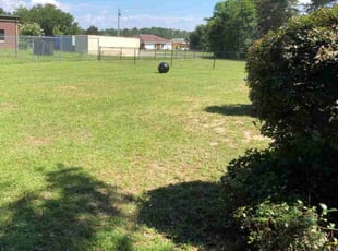 Bush Trimming by Joseph Bello for Jenna S. in Warner Robins, GA