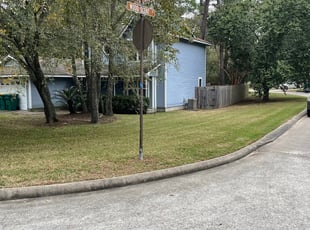 Leaf Removal by Tomas Verastegui for Cam C. in Spring, TX