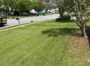 Jean H.'s Yard Cutting service result