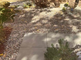 Leaf Removal by Justin Hands for Cynthia M. in Denver, CO