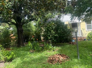 Leaf Removal by Nakir Bates for Gray V. in Pensacola, FL