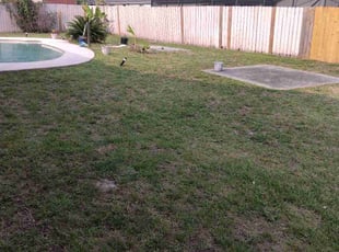 Weeding by Christopher Zachrich for Kylie W. in Jacksonville, FL