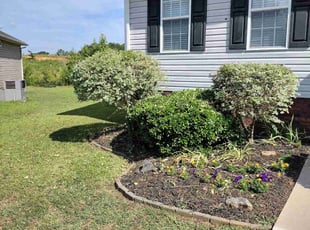 Bush Trimming by Jeremiah Davis for Rick H. in Kannapolis, NC