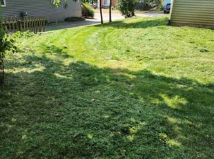 Lenora E.'s Lawn Care service result