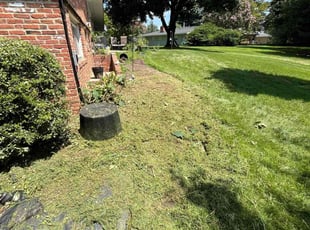 Bush Trimming by Jason Scott for JODIE M. in Silver Spring, MD
