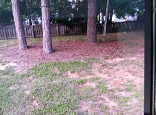 Cleanups by Shay Thaniel Washington for James H. in Indian Trail, NC