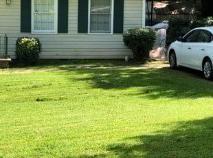 Bush Trimming by Jon Jarrell for Brittany C. in Lawrenceville, GA
