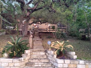 Leaf Removal by Wilmer Guevara for Julie N. in Austin, TX