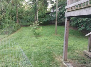 Leaf Removal by Marty Ledford for Joe K. in Asheville, NC