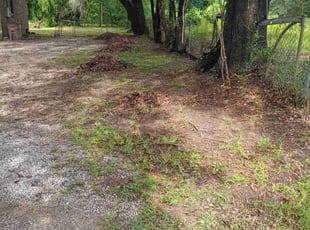 Leaf Removal by Tracy Delrow for Joyce S. in Mobile, AL