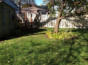 Cleanups by CeAsiah McCracklin for Sharon R. in Homewood, IL