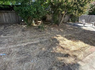 Cleanups by Tracy Spencer for Kevin C. in Sacramento, CA