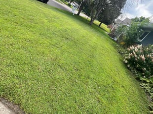 Shelley B.'s Grass Cutting service result