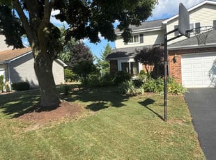 Weeding by Connor Marchetti for Stanley O. in Naperville, IL