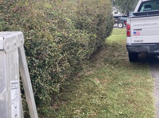 Bush Trimming by Stephen Utley for Nicole B. in Mechanicsville, VA