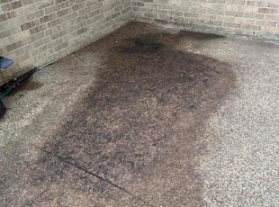 Leaf Removal by Rosa Valencia for Rob B. in Plano, TX