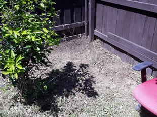 Cleanups by Jason Windfield for Juston M. in Carrollton, TX