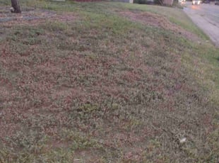 Cleanups by Robert Smith for Maxamed C. in Denver, CO