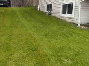 Mike S.'s Lawn Mowing service result