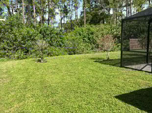 William G.'s Lawn Mowing service result