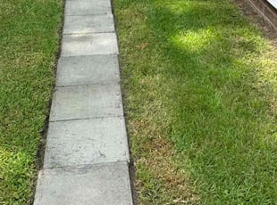 Stormy L.'s Lawn Mowing service result