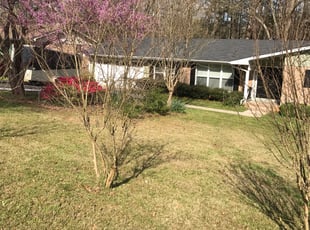 Cleanups by Charles Striedinger for Servio F. in Marietta, GA