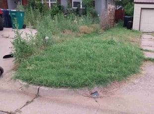 Cleanups by Tony Rodriguez for Maren E. in Oklahoma City, OK