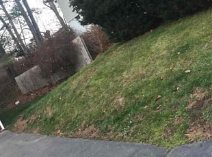 Leaf Removal by Lionel Foster for Kristopher N. in East Hartford, CT