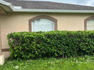 Bush Trimming by Quinton Davis for Jordan M. in Kissimmee, FL