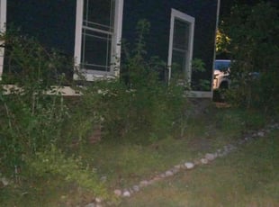 Weeding by Jamel Fortune for Jessica C. in Latham, NY