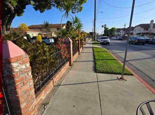 Leaf Removal by Kyle Eleveld for Amber S. in El Monte, CA