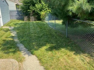 Lillie A.'s Lawn Service service result
