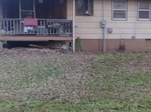 Leaf Removal by Steve Flint for Racheal Y. in Independence, MO
