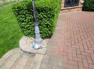 Bush Trimming by David Estrada for Roger G. in Romeoville, IL