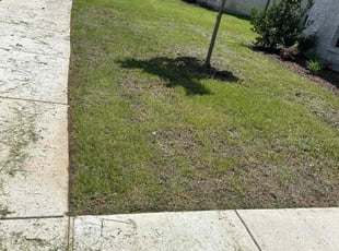Cleanups by Patrick Stewart for Isaac V. in Frisco, TX