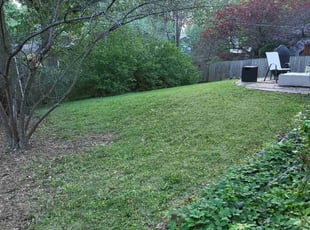 Leaf Removal by Cameron Lewis for Laura D. in Overland Park, KS