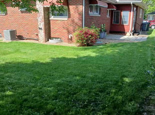 Sara M.'s Lawn Mowing service result