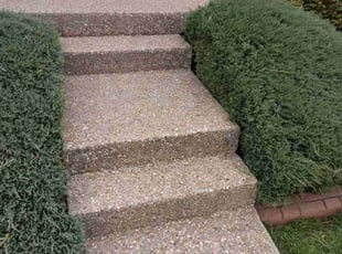 Bush Trimming by Charles Pettit for Kay N. in Louisville, KY