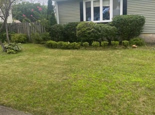 Bush Trimming by Andrew Roach for Pascale J. in Hamden, CT