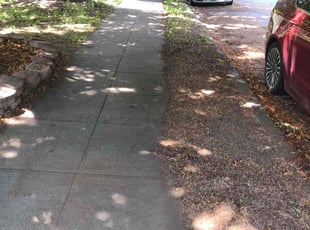 Leaf Removal by Meribeth Phipps for sean k. in Spokane, WA