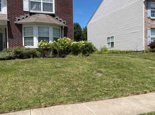 Bush Trimming by Angela Patrick for Miranda J. in Indianapolis, IN