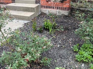 Weeding by Tim Kirkpatrick for Maureen M. in Kansas City, MO