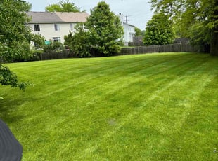 Gregory N.'s Lawn Mowing service result