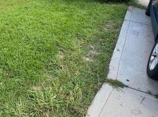 Cleanups by Micah Stewart for Chase E. in Gastonia, NC