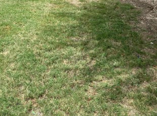 Cleanups by Keily Delgado Preciado for Denise B. in Round Rock, TX