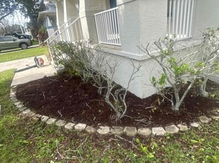 Anthony A.'s Bush Trimming service result